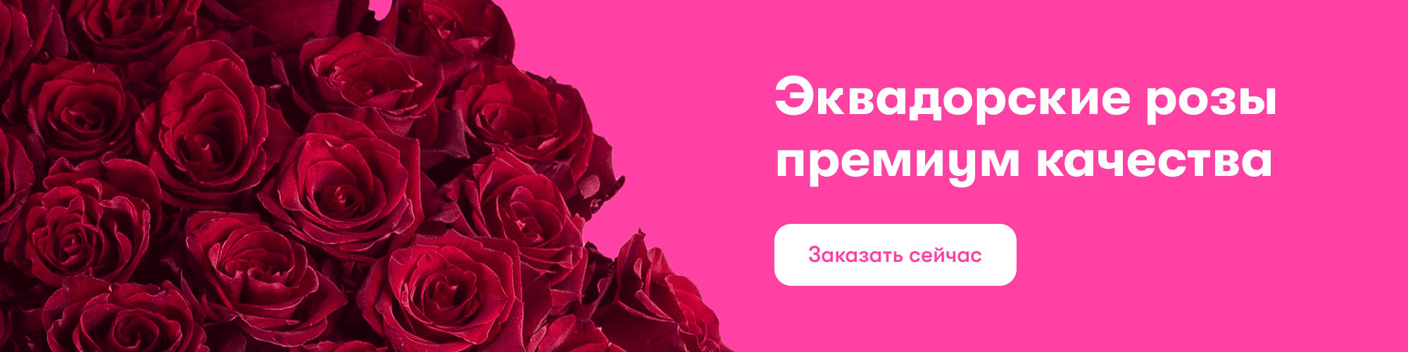 розы  эквадор